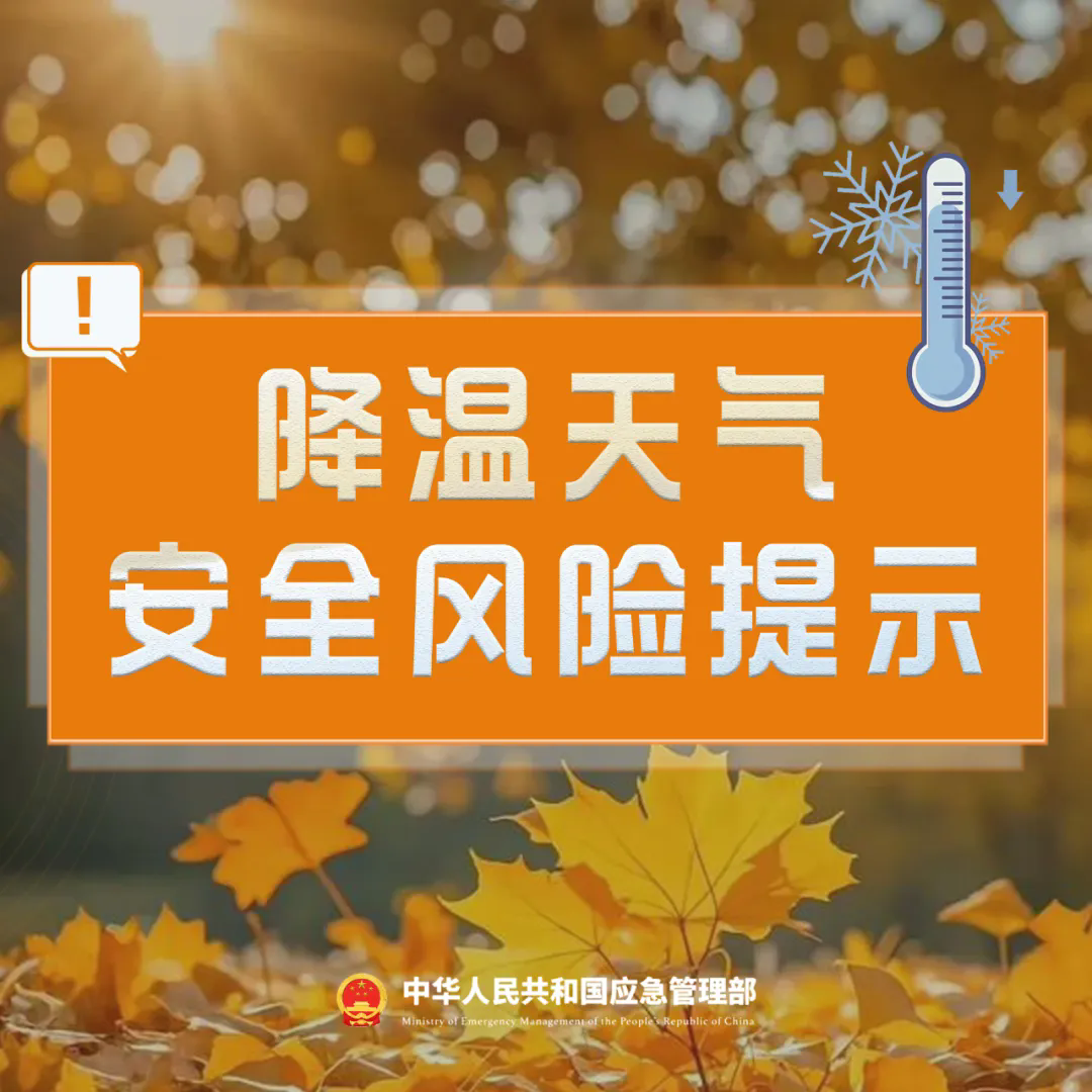1.webp.png
