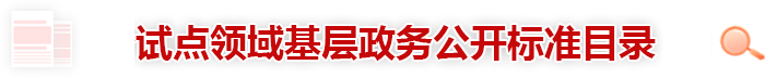 试点领域基层政务公开标准目录