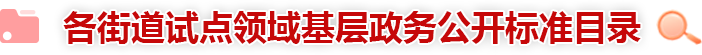 各街道试点领域基层政务公开标准目录