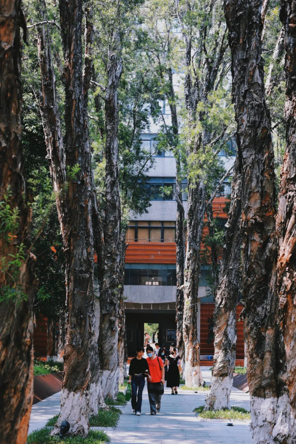 广州美术学院