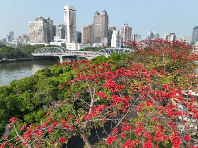 又一批中国20世纪建筑遗产！海珠这座跨江桥入选！