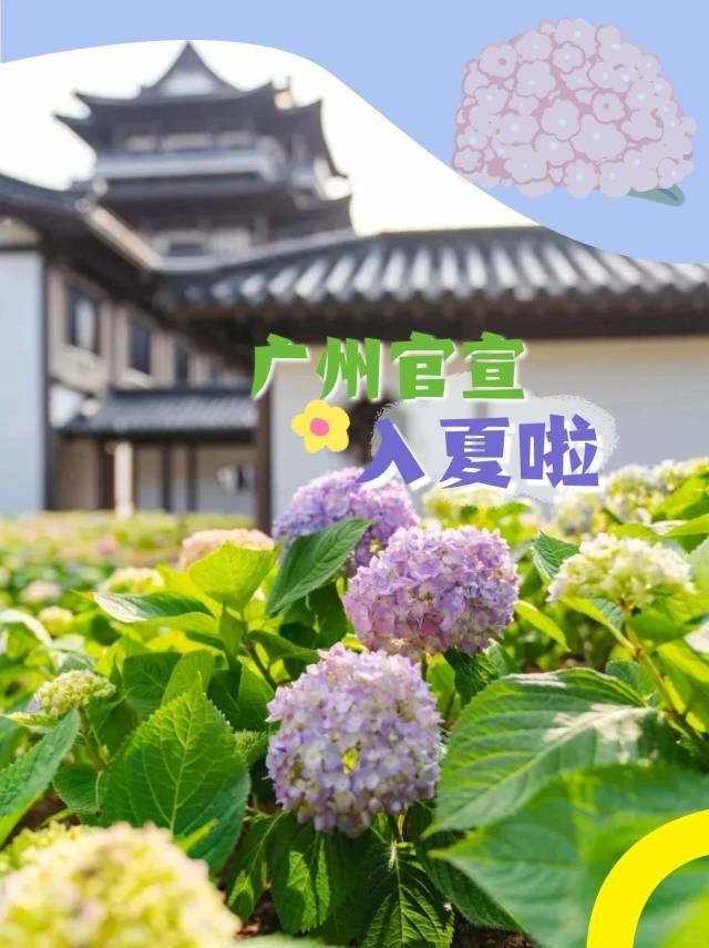 梦幻花海上新！广州官宣入夏！