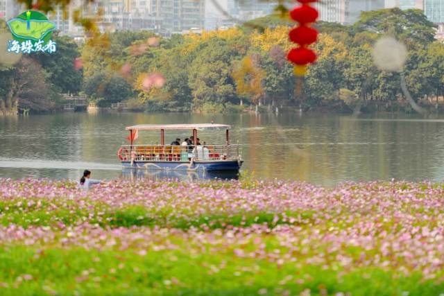 花海盛放！海珠湿地美景不打烊！